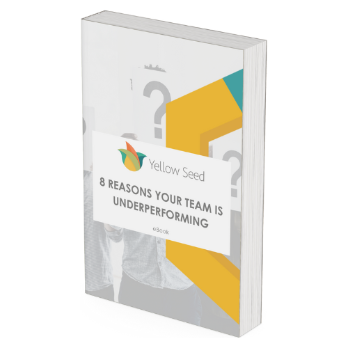 8 Reasons why your team is underperforming
