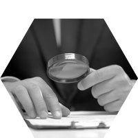 Yellow Seed Case Study